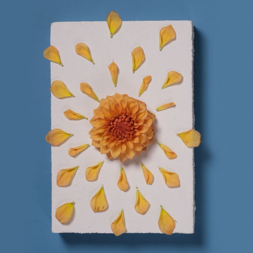 Floral Support Card