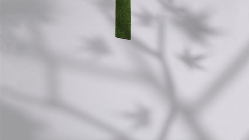 2022.05-Green-Сaterpillar-4k_00110